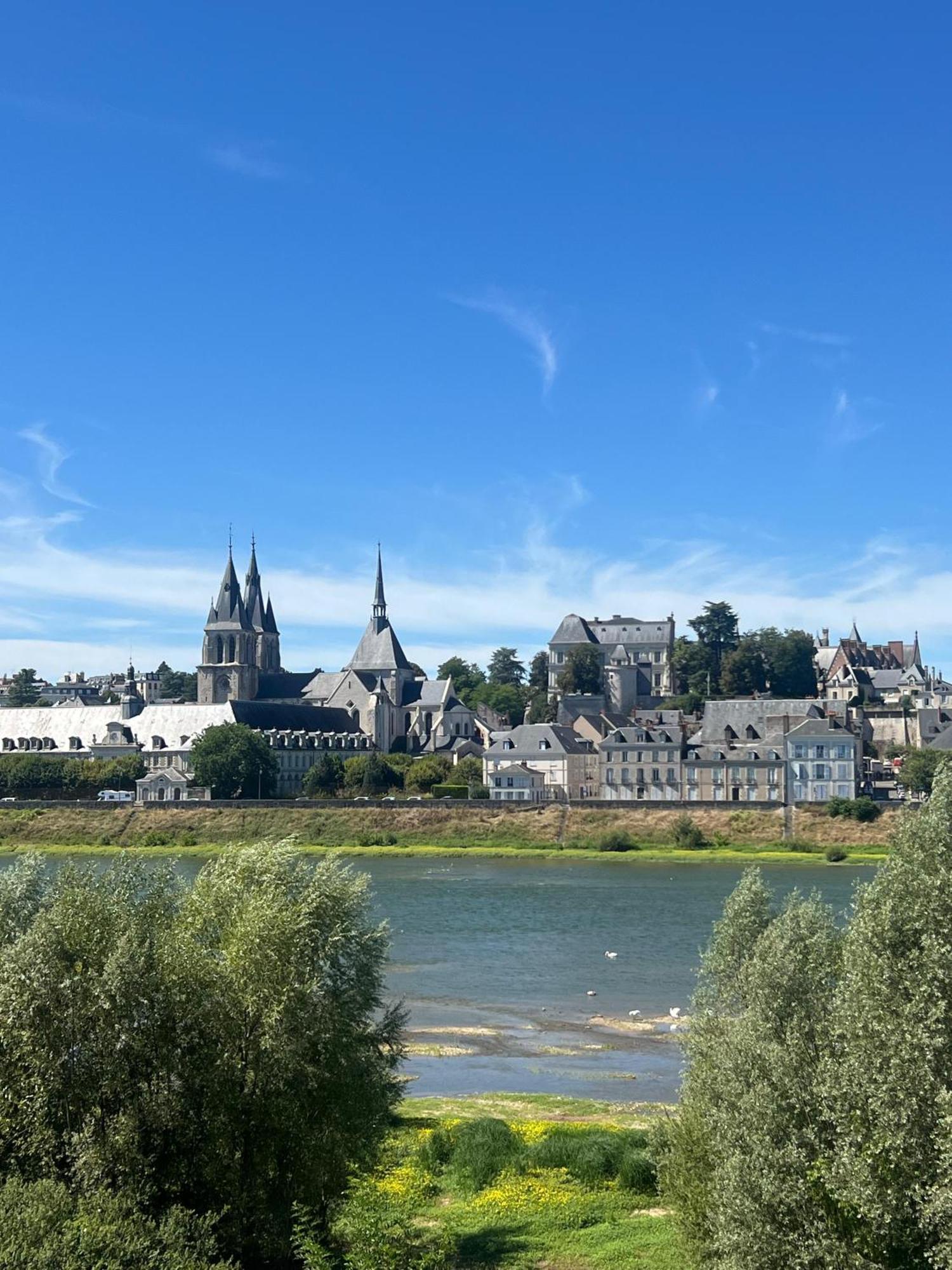 Quai De La Loire Apartment Blois Exterior photo